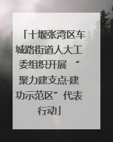 十堰张湾区车城路街道人大工委组织开展 “聚力建支点·建功示范区”代表行动